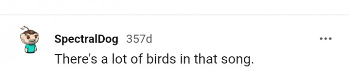 The song has a lot of birds