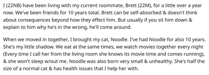 I've had Noodle for ten years