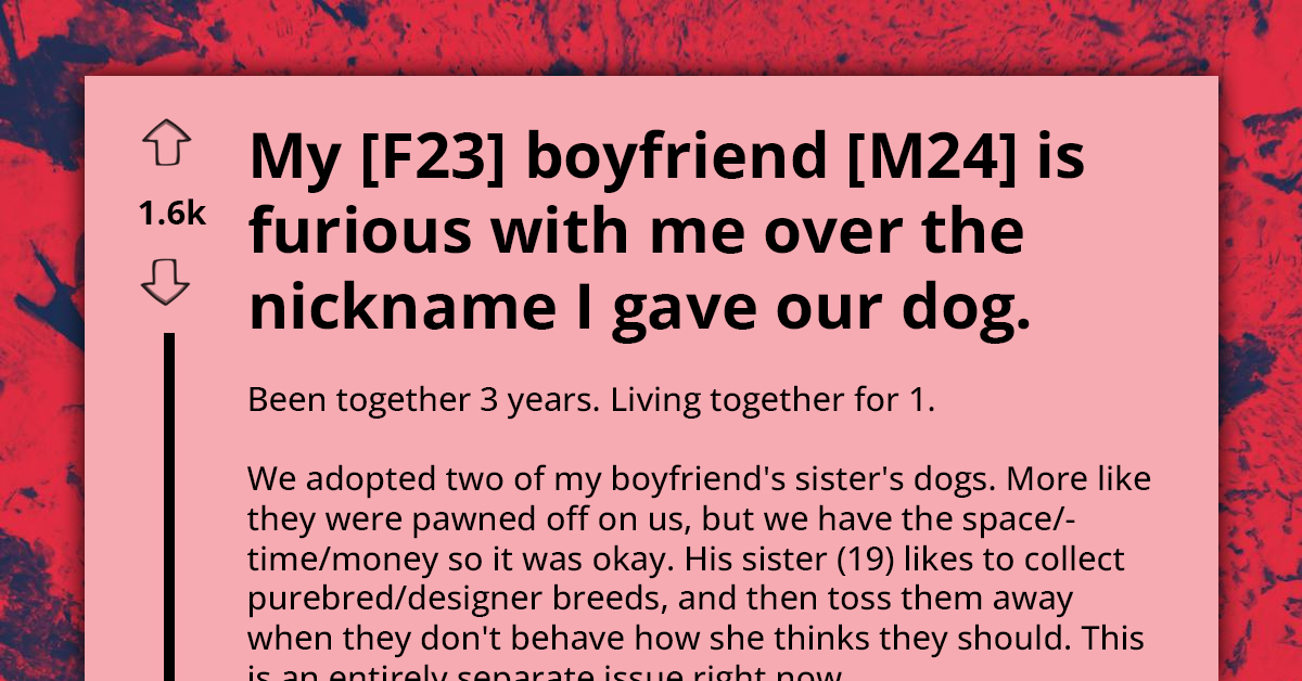Young Woman Desperate For Advice As Her BF Gives Her Silent Treatment Over Nickname She Gave To Their Puppy
