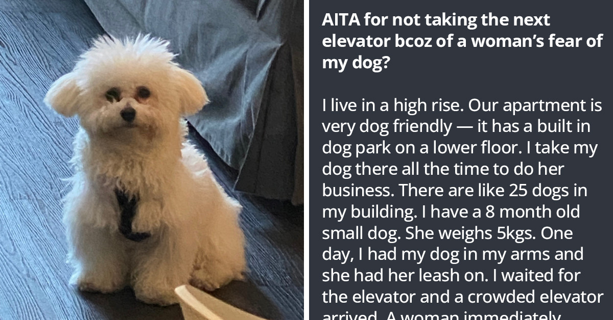 Lady Who Is Afraid Of Dogs Moves Into A Dog-Friendly Building And ...