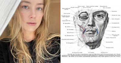 Science Says And Proves That Amber Heard Has The Most Beautiful Face In The Whole World