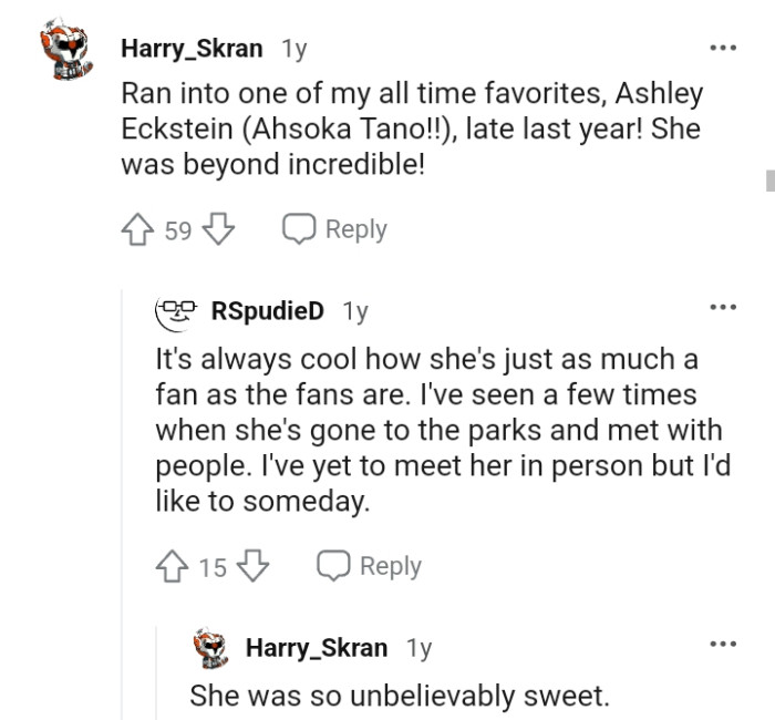 18. This Redditor says they met Ashley Eckstein