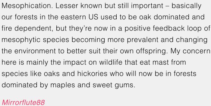 Trees and wild animal diets