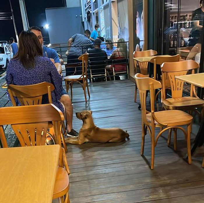 He now goes on adventures with the couple