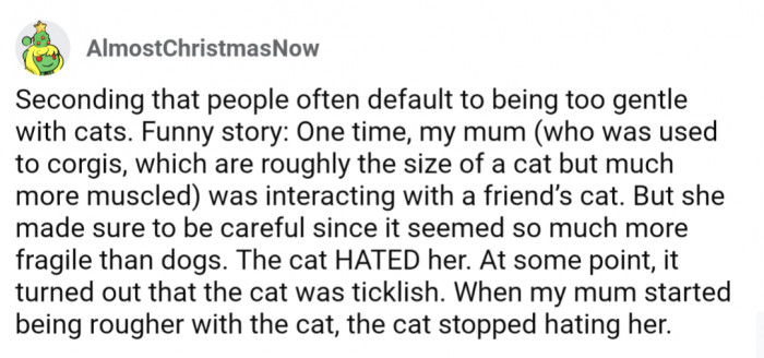 I've never heard of a ticklish cat