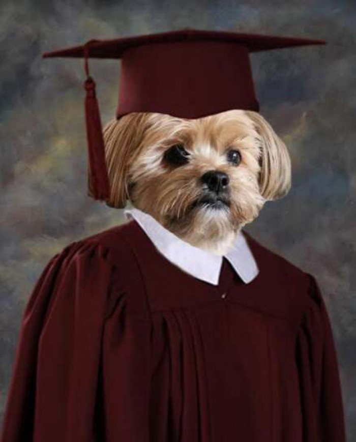 “As a surprise, my sister Olivia decided to secretly make a graduation picture”