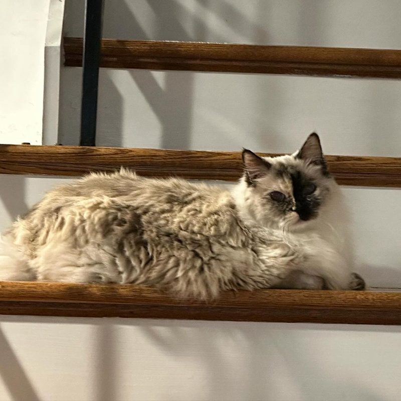 Thumbelina rules the stairs.