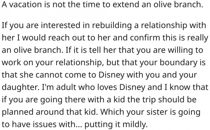 4. Her sister may have issues with the Disney trip because it is planned around her daughter's preferences.