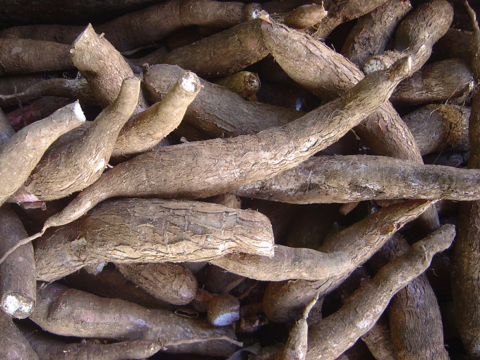 2. Cassava