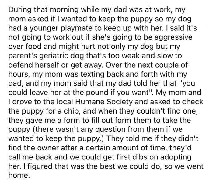 OP and her mother took the little pup to the local Humane Society where she was checked for a microchip.