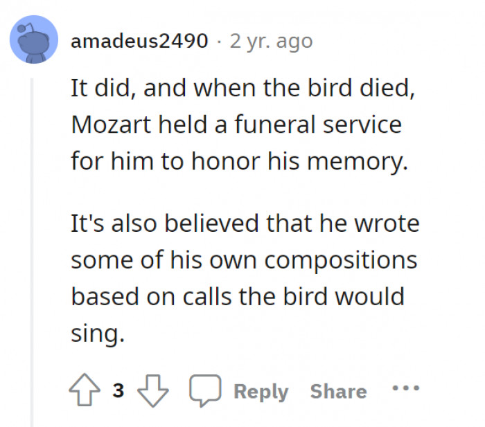 The starling bird did give Mozart a big break in the music industry. Now we are celebrating music because of this bird, it truly deserves a funeral.