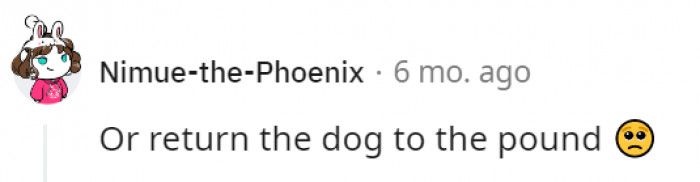 3. The pup maybe better of with someone else who could take care of it better