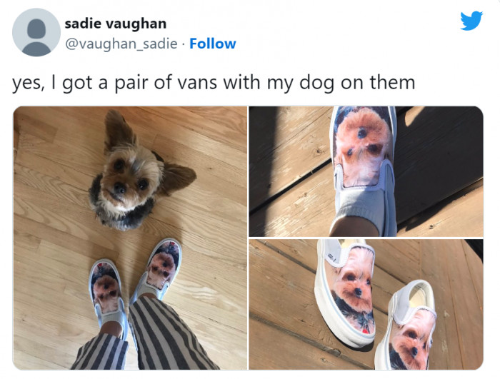 The face of this dog looks great on a pair of Vans.