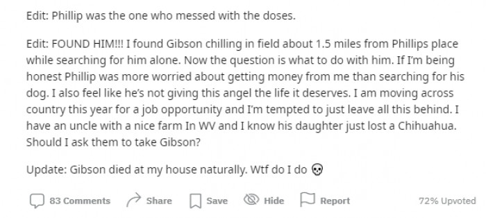 Apparently, the OP later found Gibson in a field but was then debating whether to return him to his owner or take him to live on his uncle's farm. And, in another update, the OP said that Gibson had died naturally.