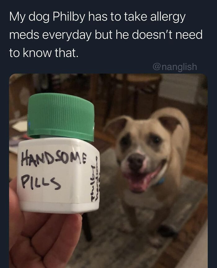 19. The Handsome Pills