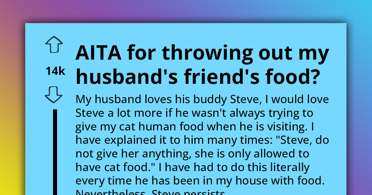 Man Gets Warned To Stop Giving Human Food To His Friend's Cat, Repeats It And Gets His Whole Meal Trashed