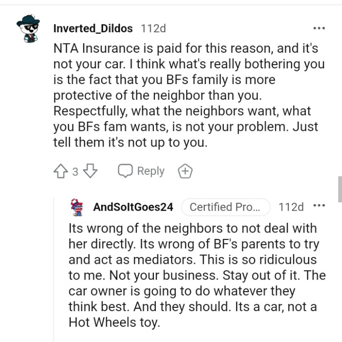 Redditor Wants To Go Through Insurance After Boyfriend's Neighbor Hit ...