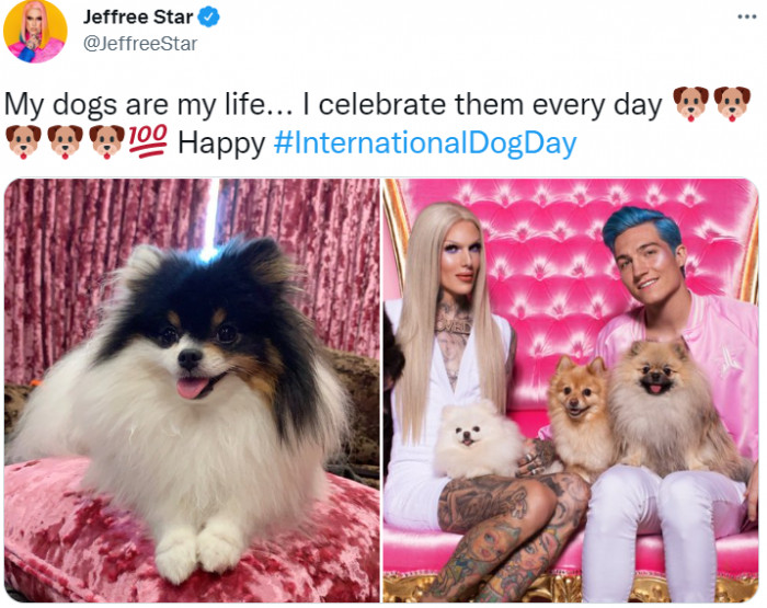 3. And someone says that he honors puppies every day, not just on International Dog Day. Here is Jeffree Starr with her adorable furry friends.