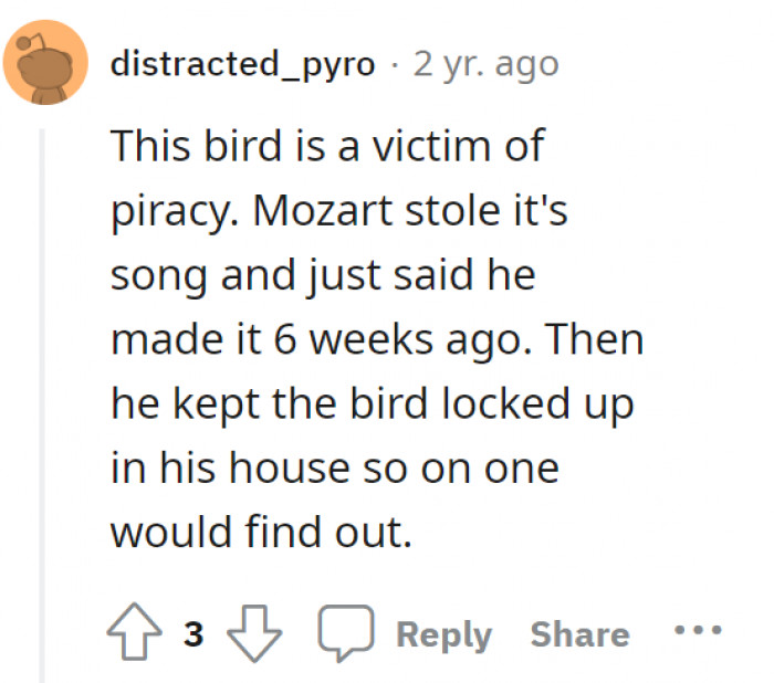 This could be a story, but, Mozart took the bird in.