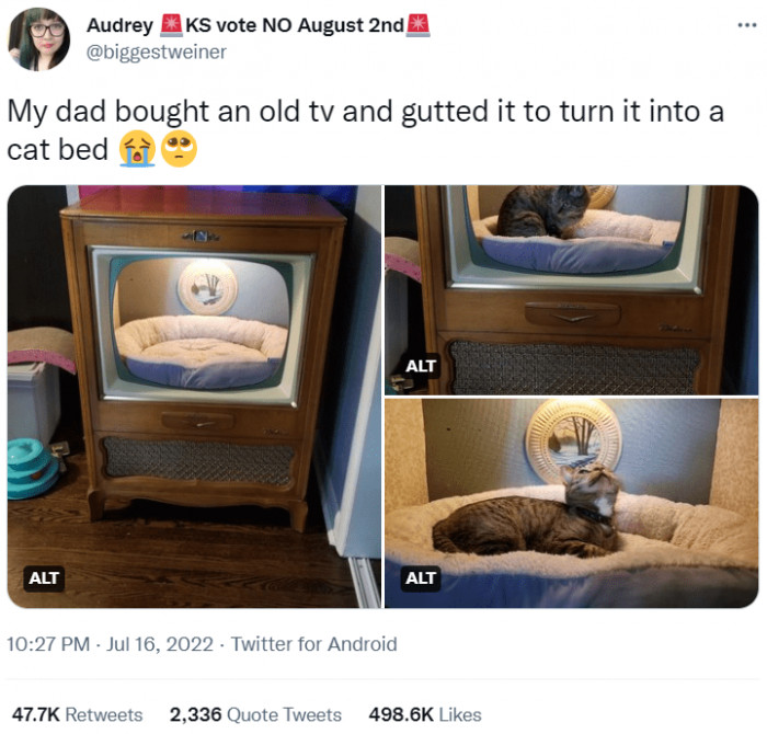 Cat dad had bought an old tv and built her a purrfect cat bed
