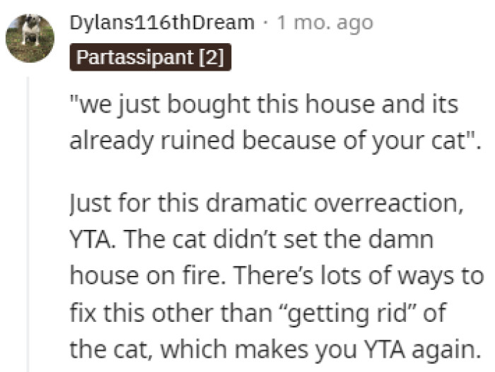 Husband Wants To Get Rid Of His Wife's Cat Because Of Its House Soiling