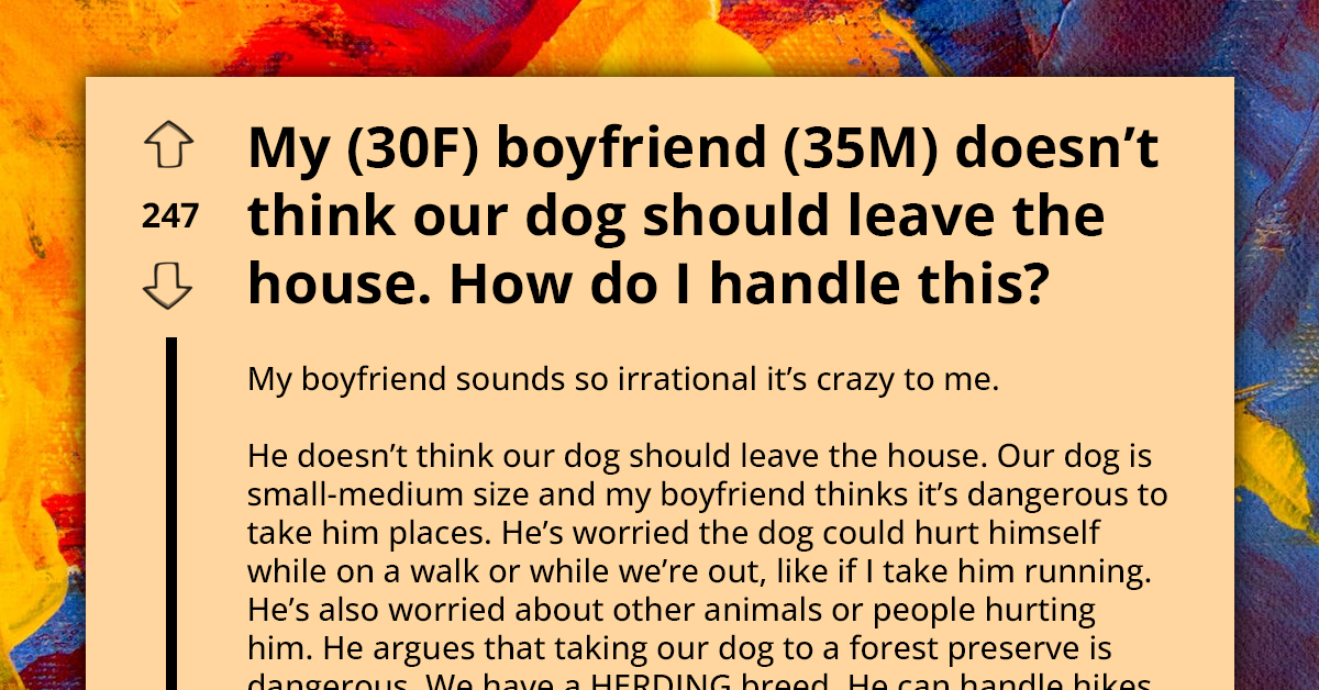 Redditor Seeks Advice On Handling Boyfriend's Fear Of Something Happening To Their Dog If Taken Out