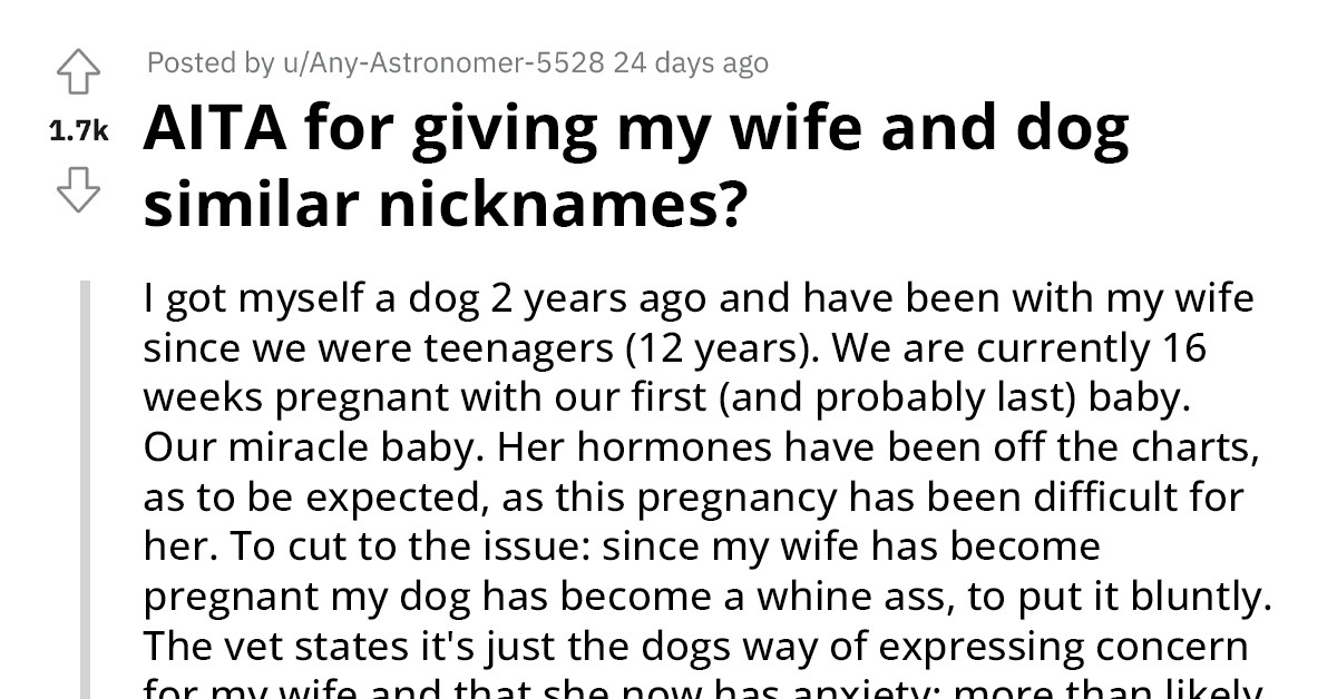 Pregnant Wife Angry At Redditor For Giving Her A Nickname Similar To Their Whiny Dog’s Nickname