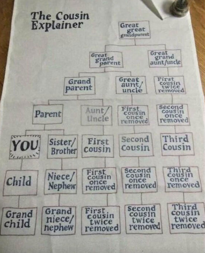 21. The cousin explainer