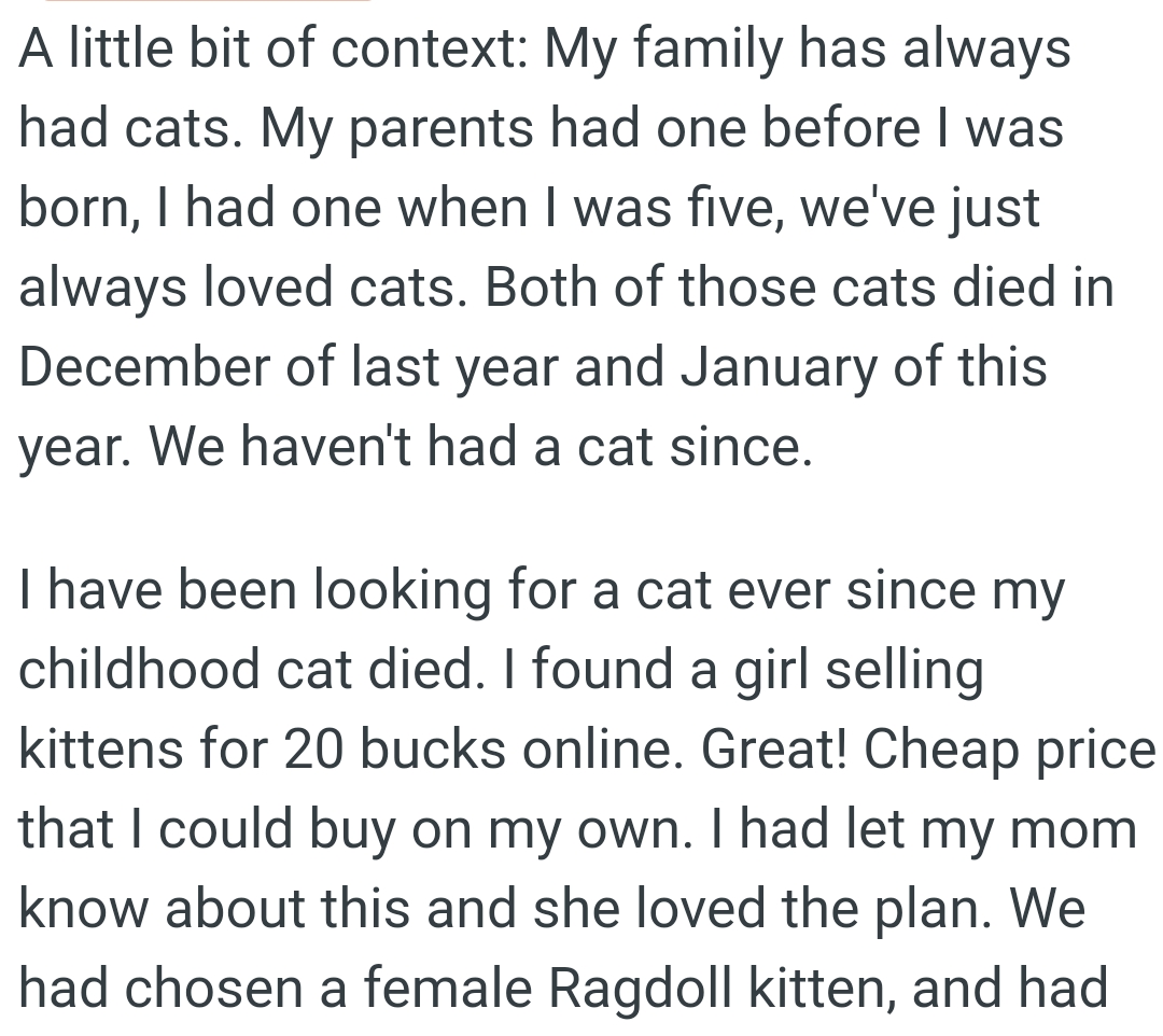 The OP has been looking for a cat ever since his childhood cat died