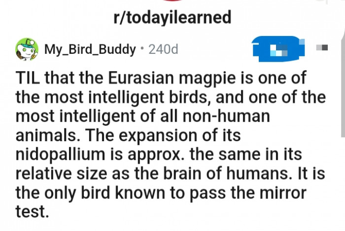 This Redditor has an interesting piece of information to share with the TodayILearned subreddit group