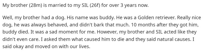 OP starts off explaining his post by telling the story of what happened with this brother and SIL's dog.