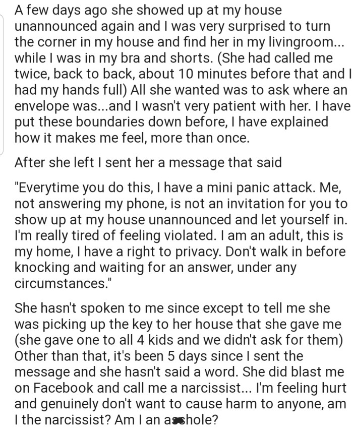 Recently, OP's mom barged in on her again. But this time, she scolded her mom for not knocking before gaining access into her house. And in response, her mom bashed her on Facebook