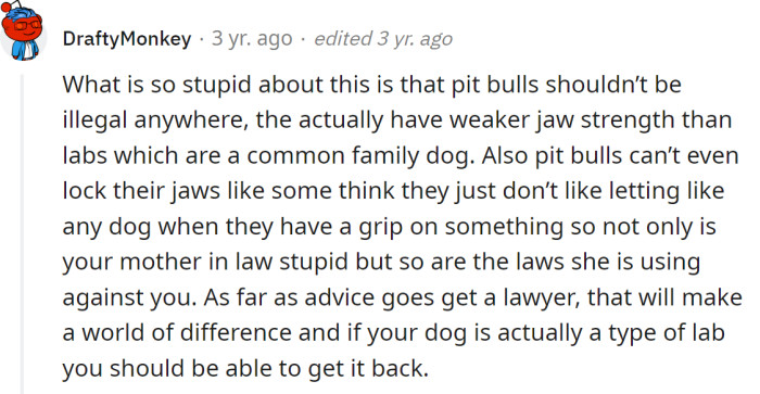 Pit bulls shouldn't be illegal anywhere, but they should hire a lawyer