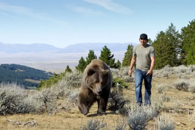 Casey Anderson's love for wild animals, particularly bears, stemmed from his upbringing in Montana.