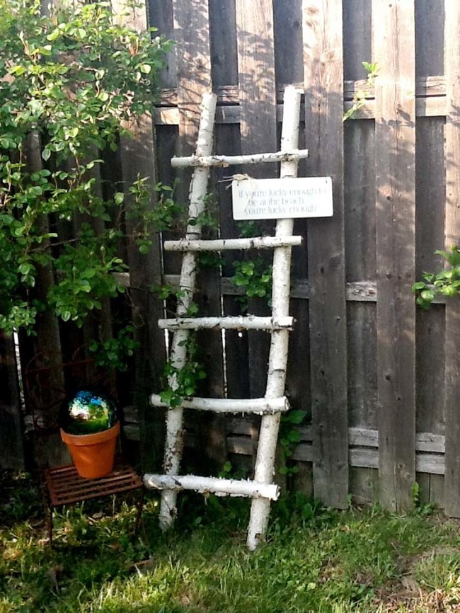 3. Log Ladder: Functional and fabulous