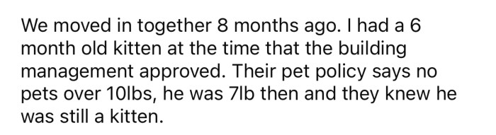 She explained that she moved in with her boyfriend's sister around eight months ago, and the OP had a six-month-old kitten at the time.