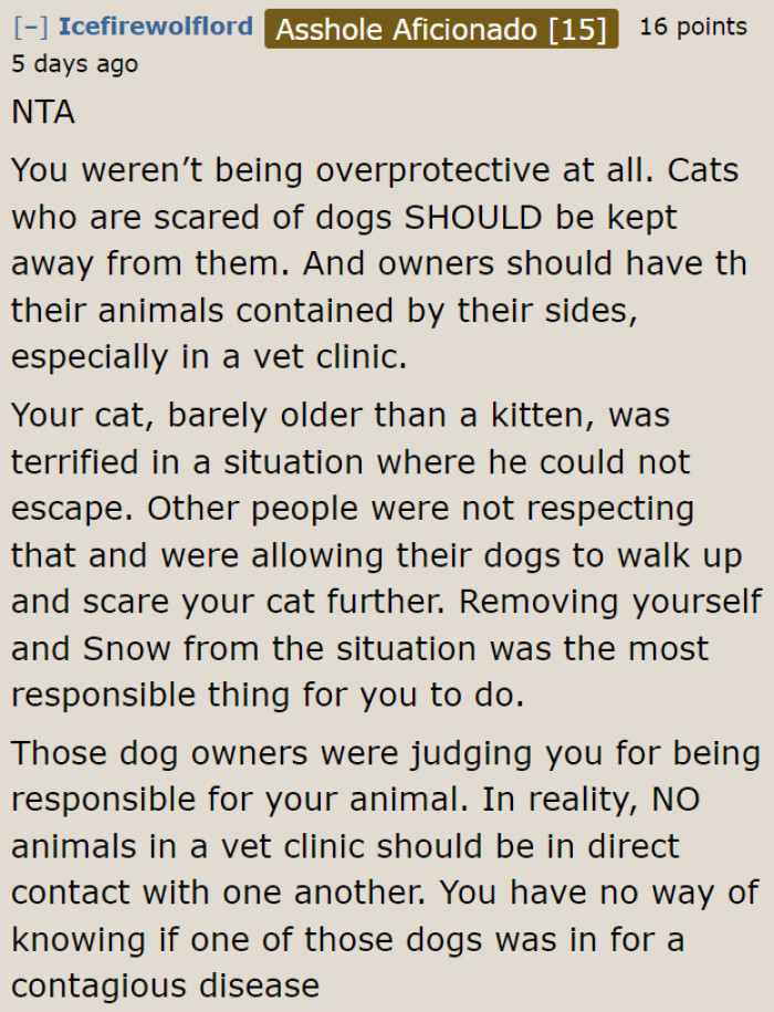 It is the responsibility of owners to keep their pets near them. Their dogs shouldn't be bother other people and animals.