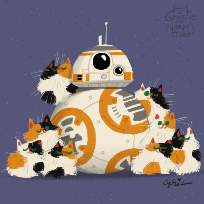 BB8 adopted 8 calicos