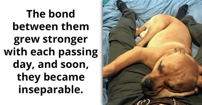 This Rescue Dog Refuses To Take His Paws Off The Person Who Adopted Him