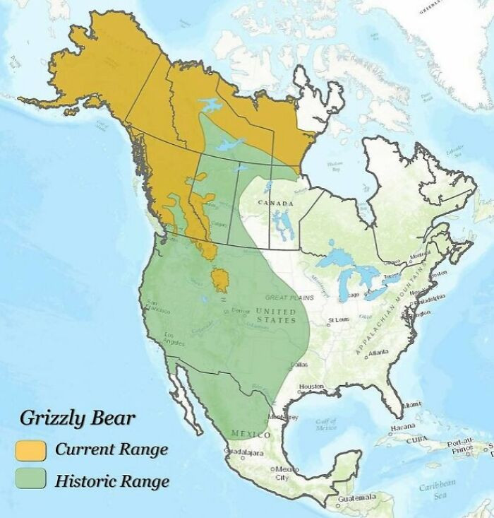 Historical And Current Grizzly Bear Range In North America