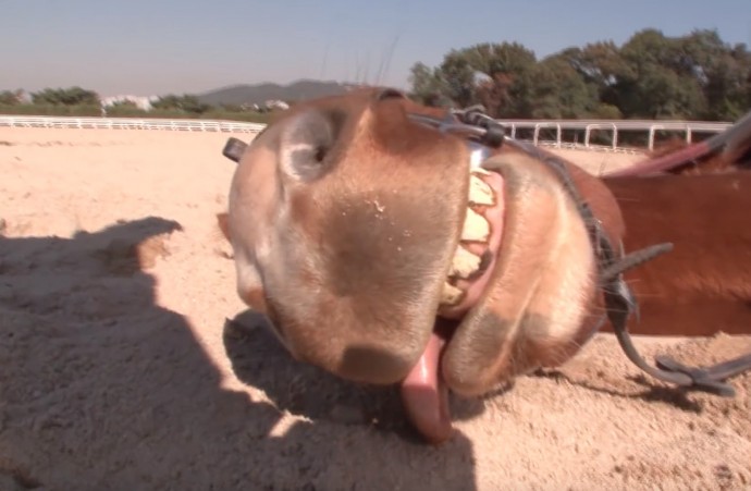 It was an easy call. But look at how dramatic he is—even sticking his tongue out!