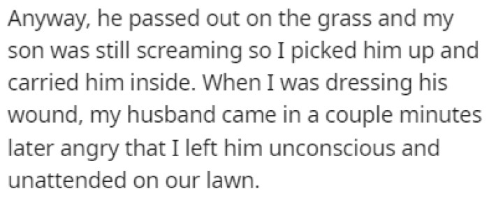 While her husband was passed out on the grass, OP was inside with her son