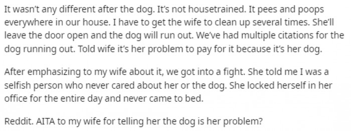 The dog made the messy situation in the house even worse and the husband decided to confront his wife and explain that it was a bad idea.