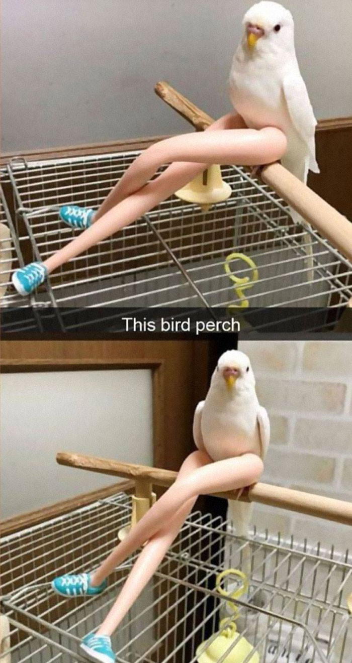 21. Ain't you a sexy birdie