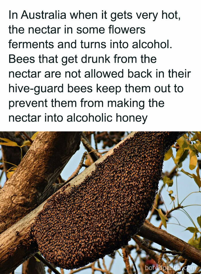 8. This is an interesting piece of information