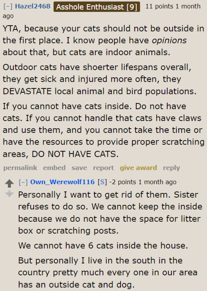 Concerned Online Users Slam Redditor For Insisting On Keeping Cats