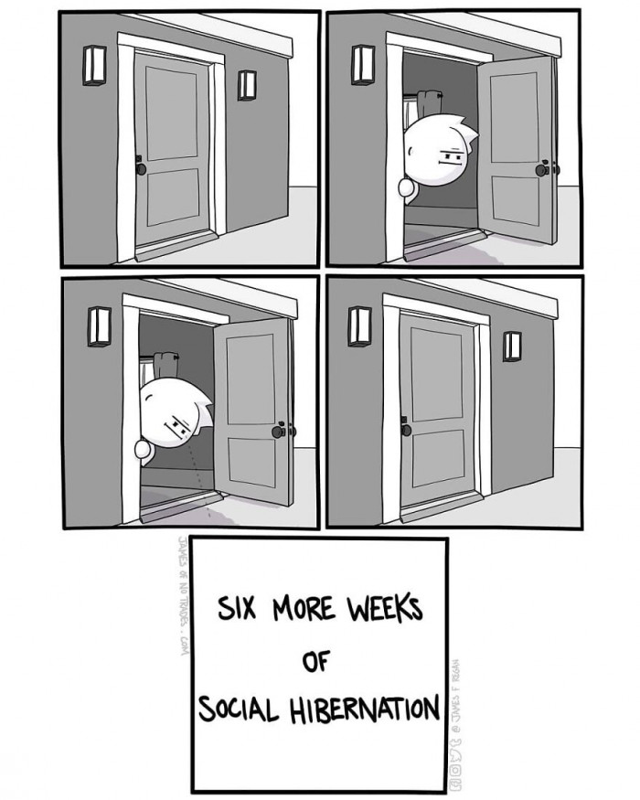 28. Social hibernation