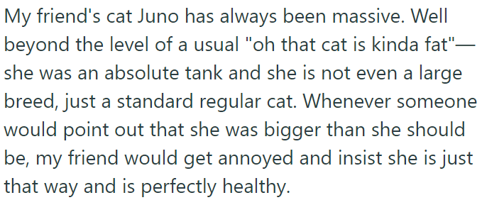 OP's friend's cat Juno is unusually large, despite comments about her size, OP's friend insists she's perfectly healthy.