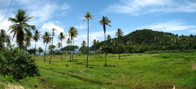 3. Dominica