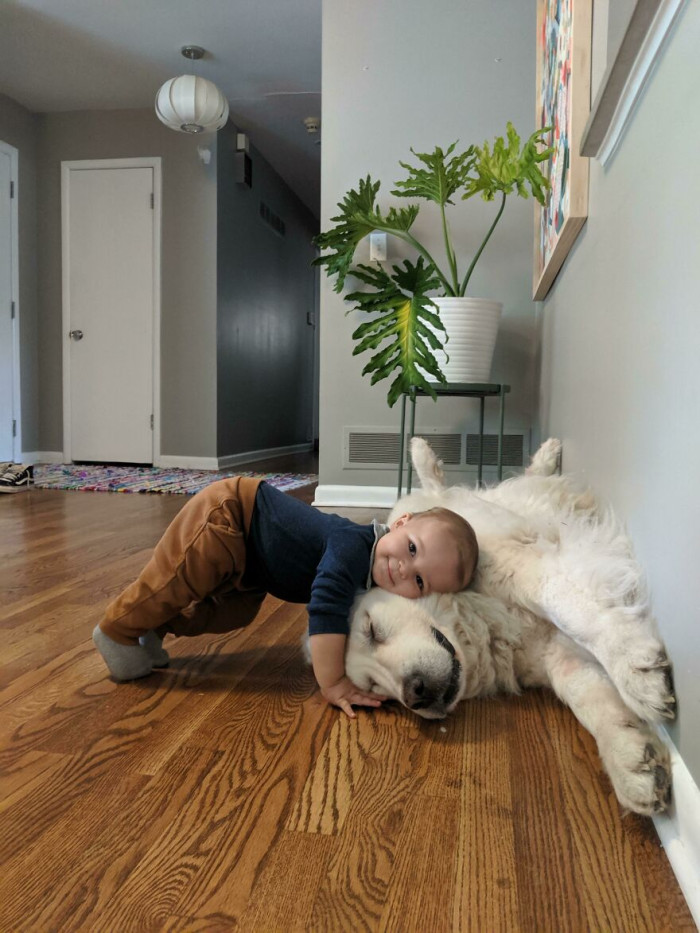 48. Down Dog On A Dog. Ft Our 11 Month Old And 8 Year Old